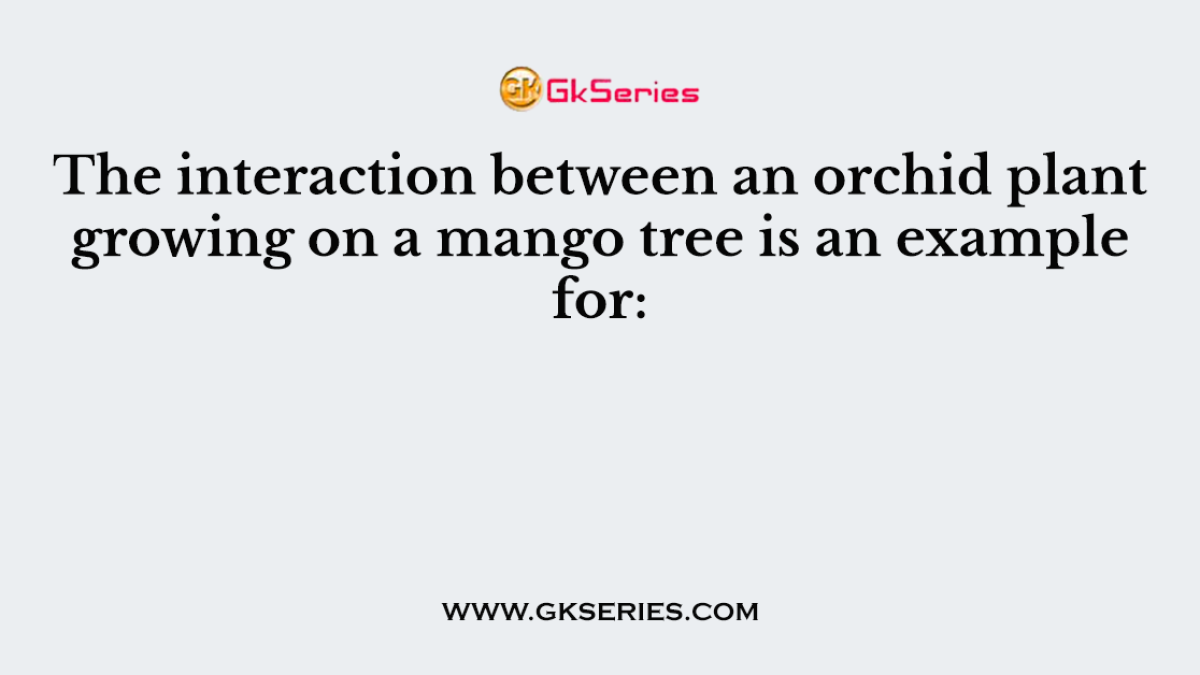 The interaction between an orchid plant growing on a mango tree is an example for: