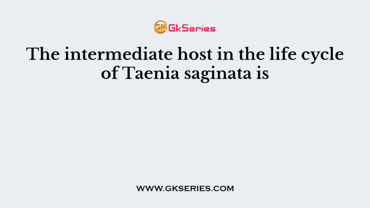 The intermediate host in the life cycle of Taenia saginata is