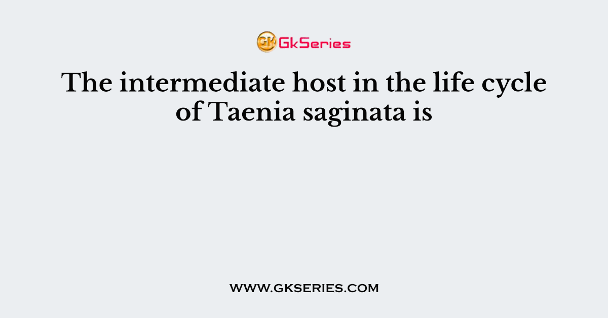 The intermediate host in the life cycle of Taenia saginata is