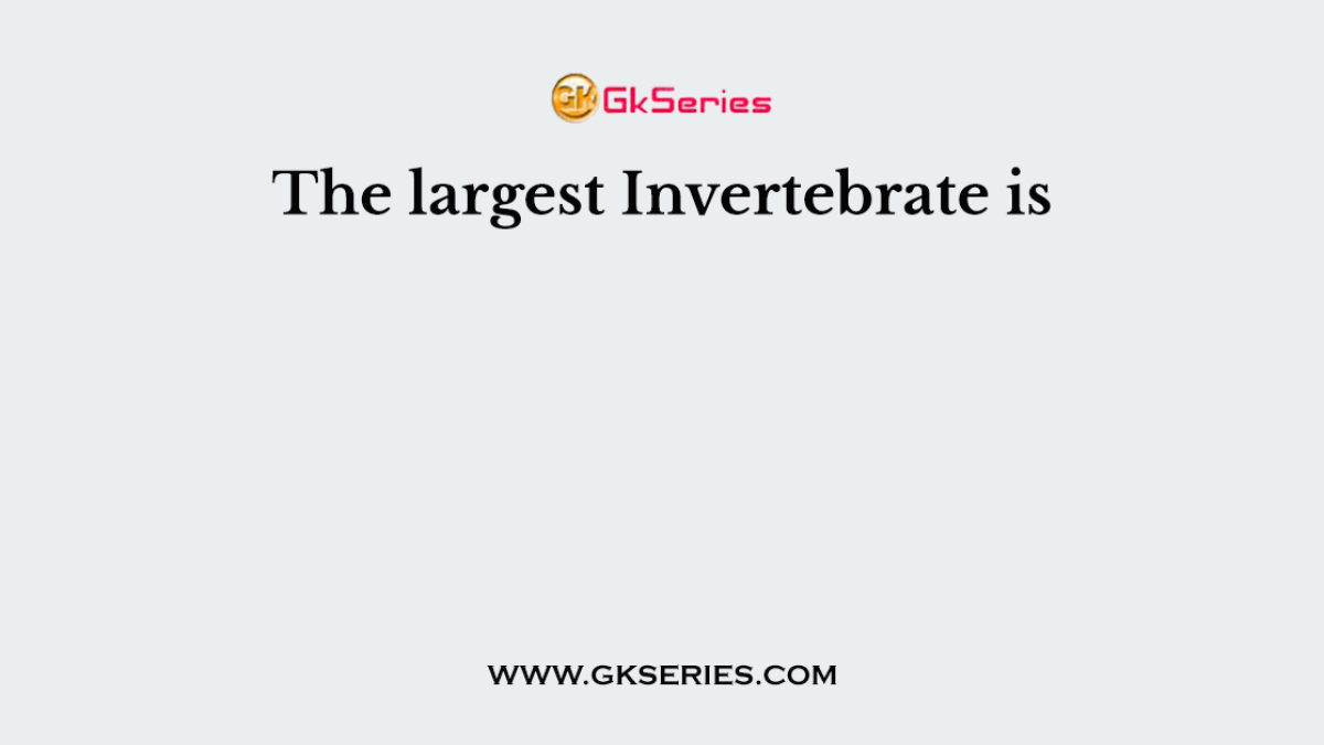 The largest Invertebrate is