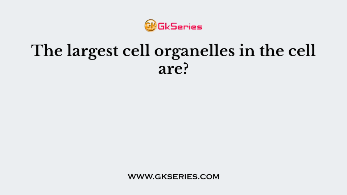 The largest cell organelles in the cell are?