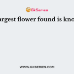 The largest flower found is known as