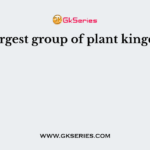 The largest group of plant kingdom is