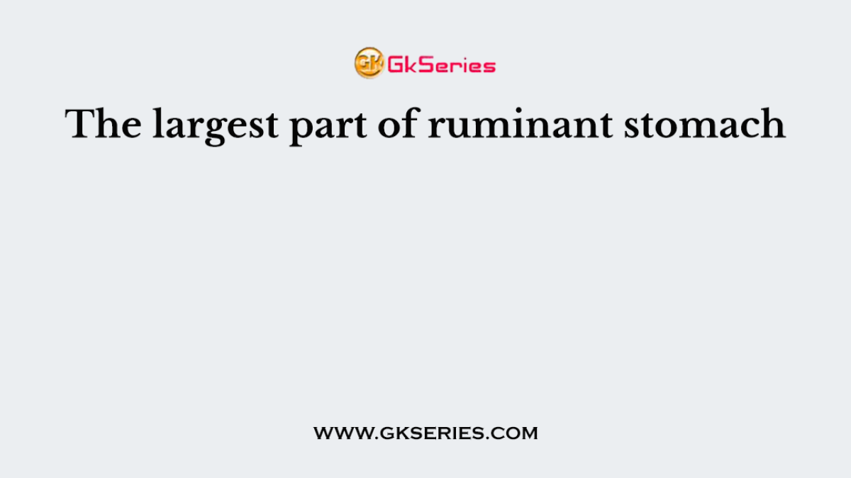 The largest part of ruminant stomach