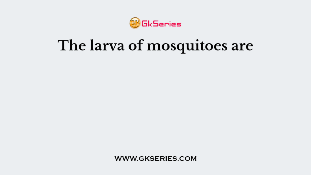 The larva of mosquitoes are