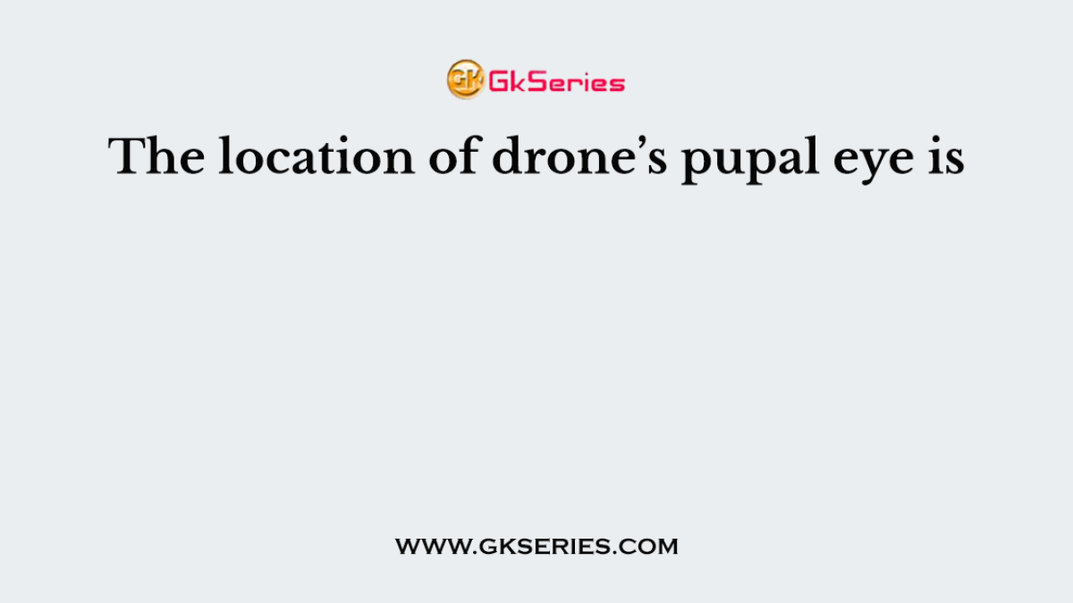 The location of drone’s pupal eye is