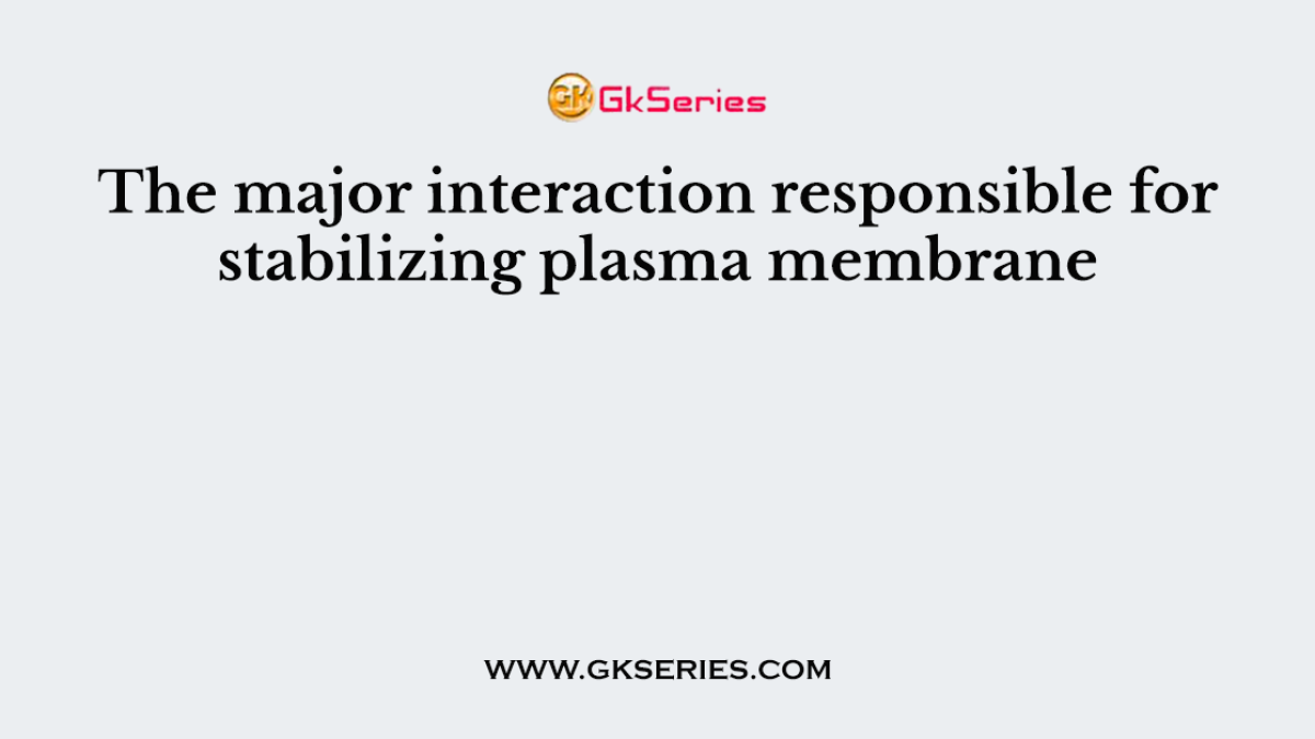 The major interaction responsible for stabilizing plasma membrane