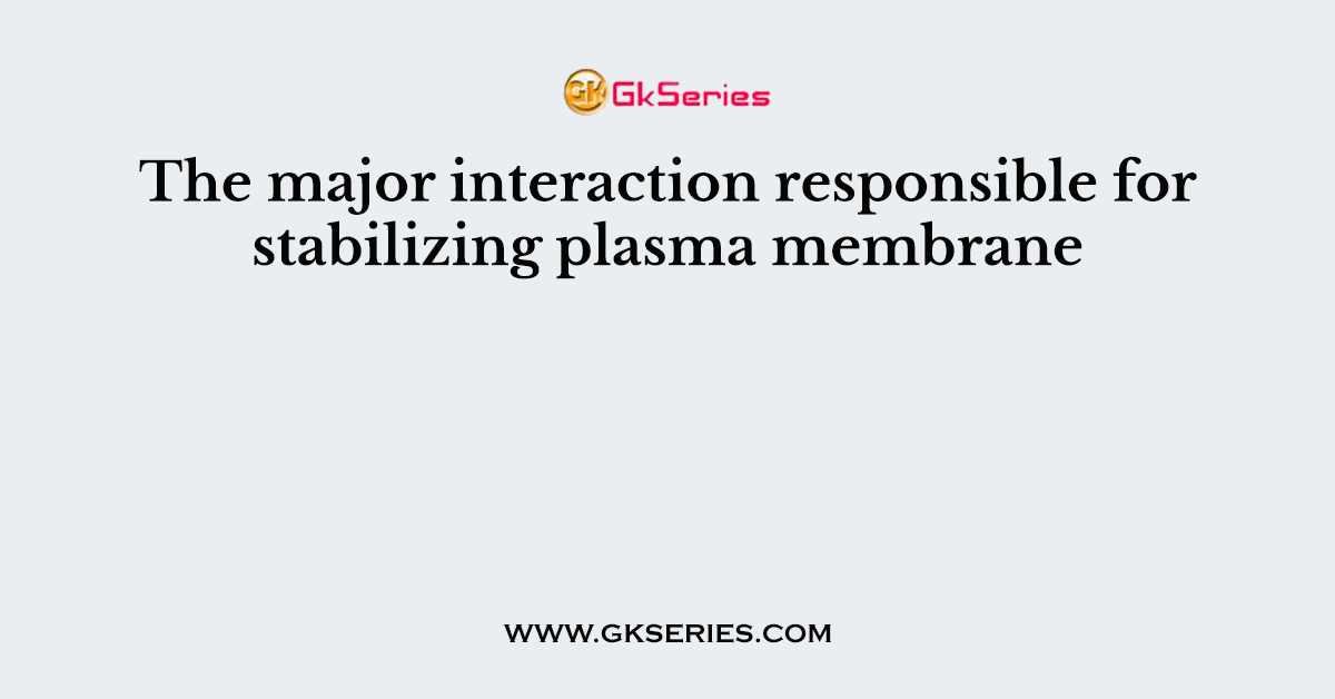 The major interaction responsible for stabilizing plasma membrane