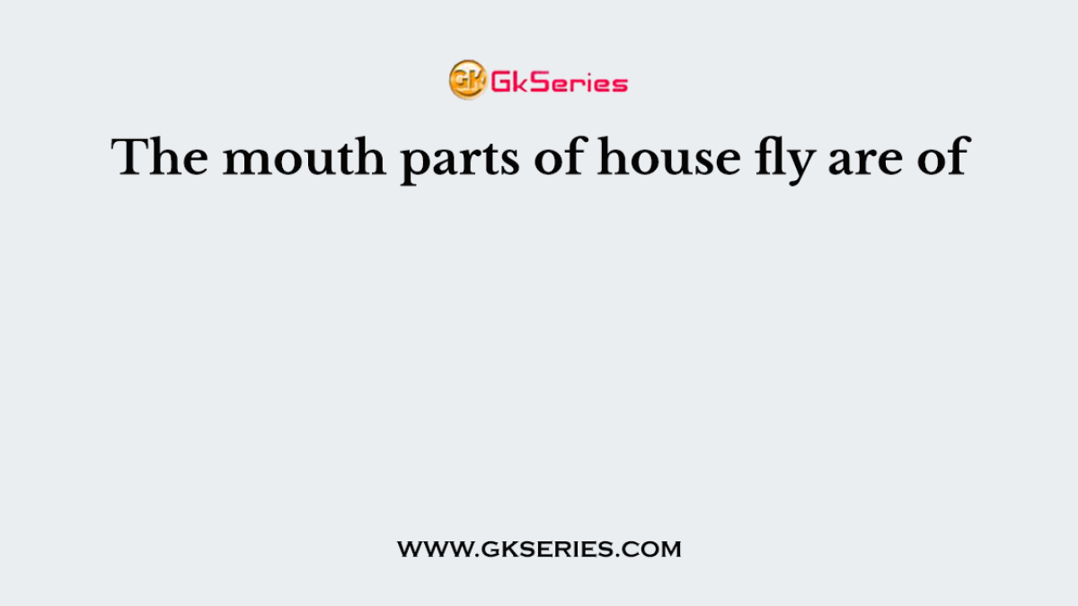 The mouth parts of house fly are of