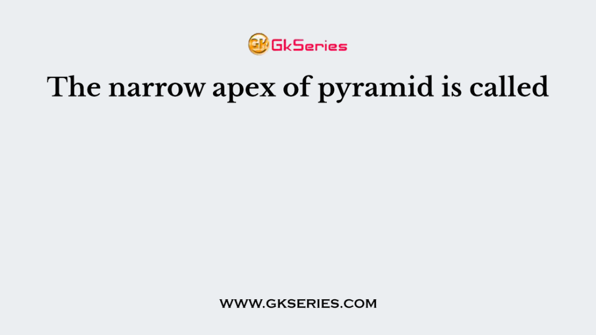 The narrow apex of pyramid is called