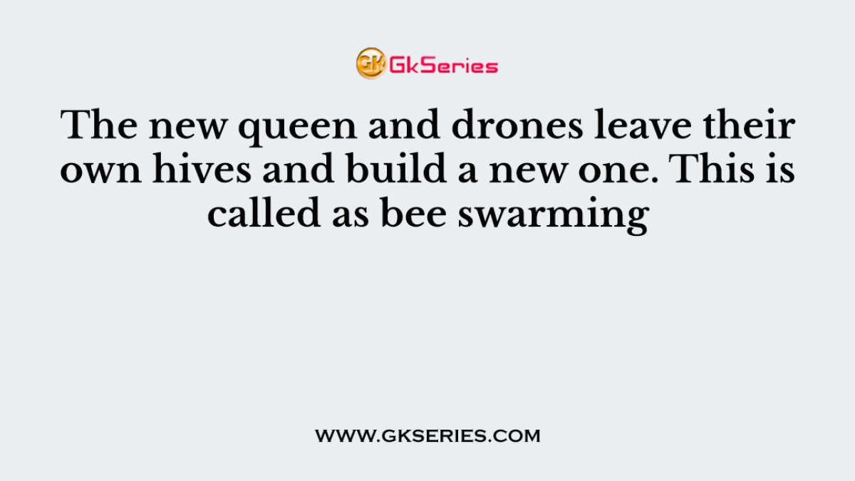 The new queen and drones leave their own hives and build a new one. This is called as bee swarming