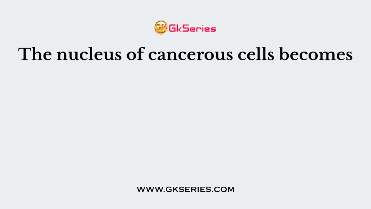 The nucleus of cancerous cells becomes