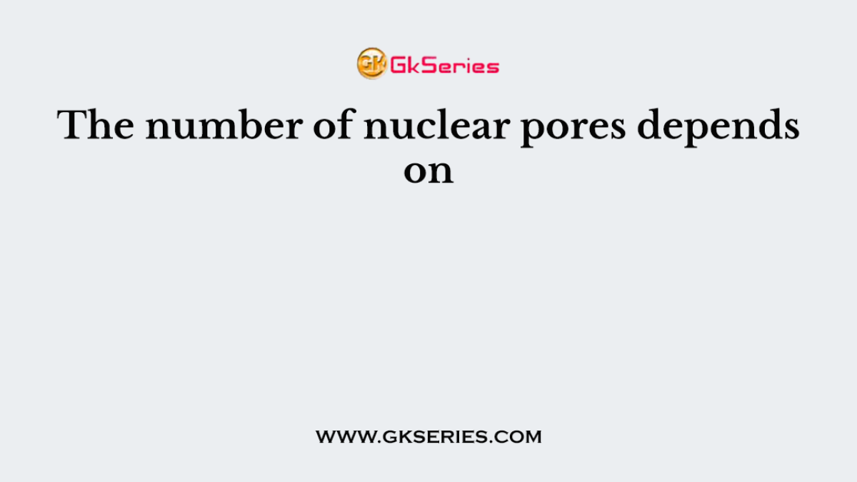 The number of nuclear pores depends on