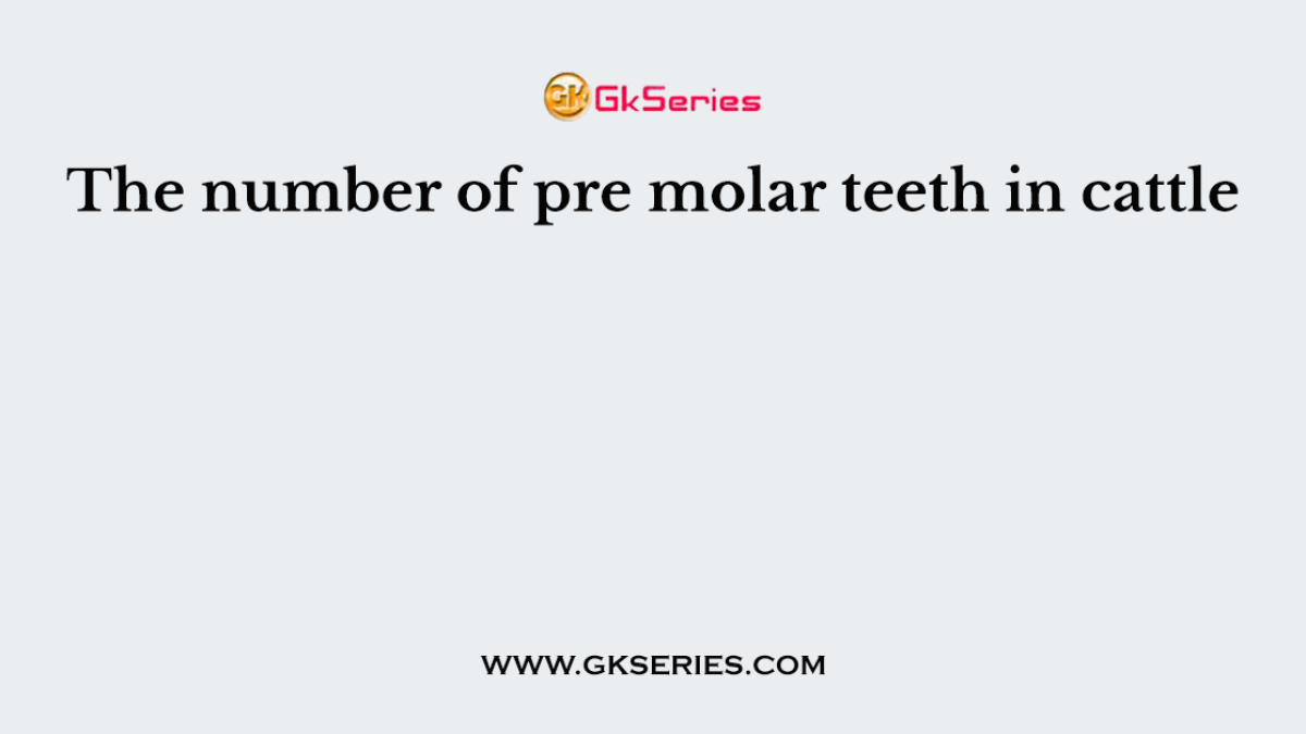 The number of pre molar teeth in cattle