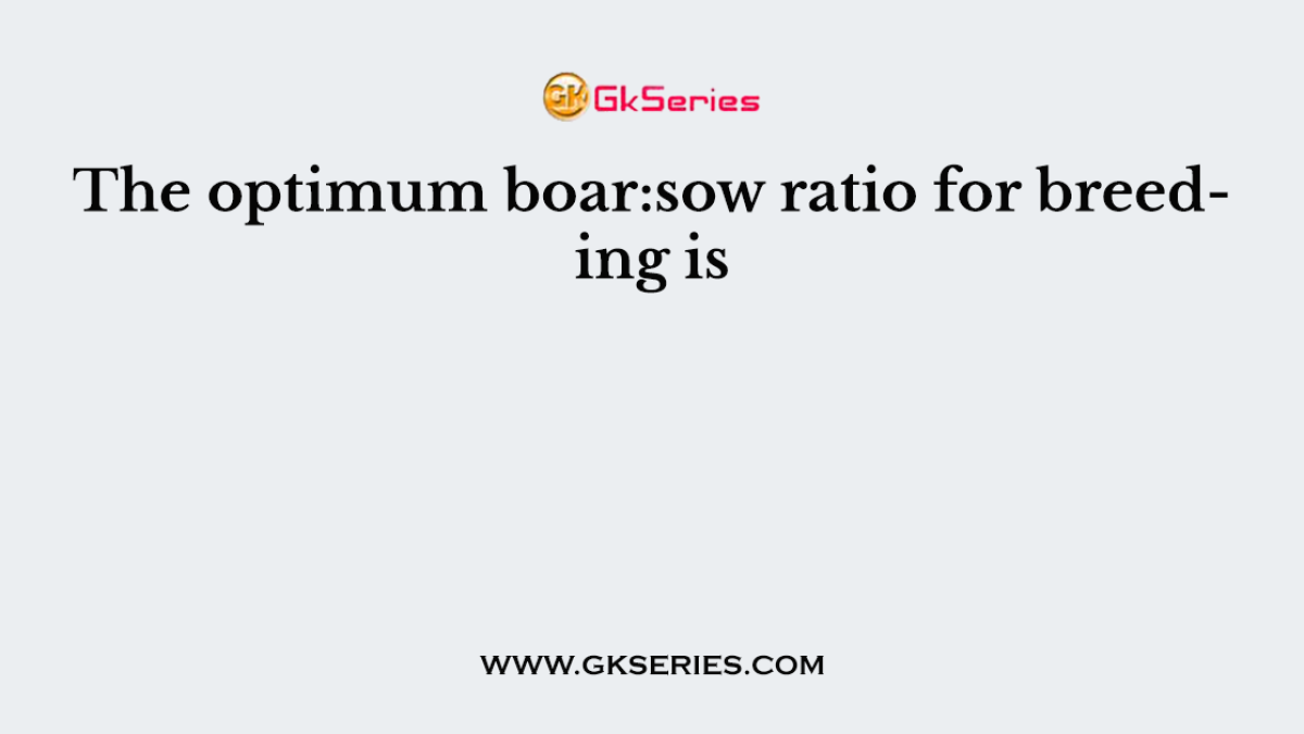 The optimum boar:sow ratio for breeding is