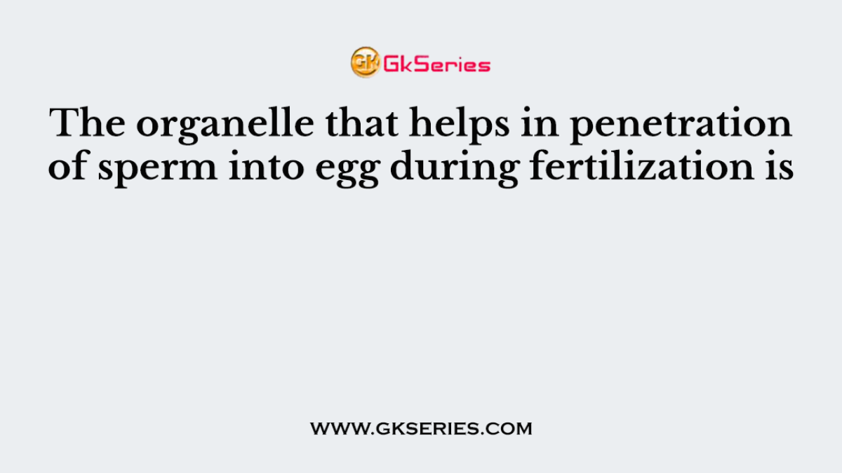 The organelle that helps in penetration of sperm into egg during fertilization is