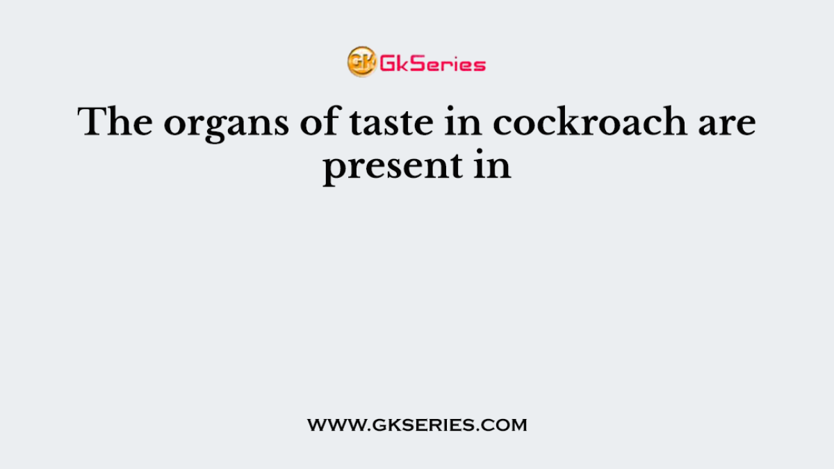The organs of taste in cockroach are present in