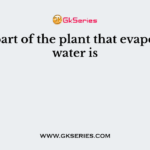 The part of the plant that evaporates water is