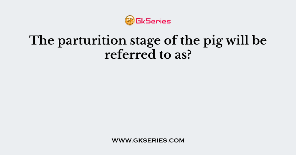 The parturition stage of the pig will be referred to as?