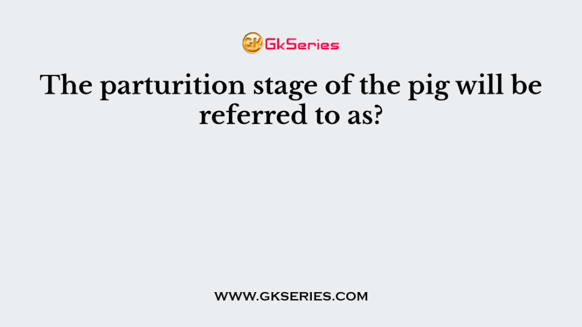The parturition stage of the pig will be referred to as?