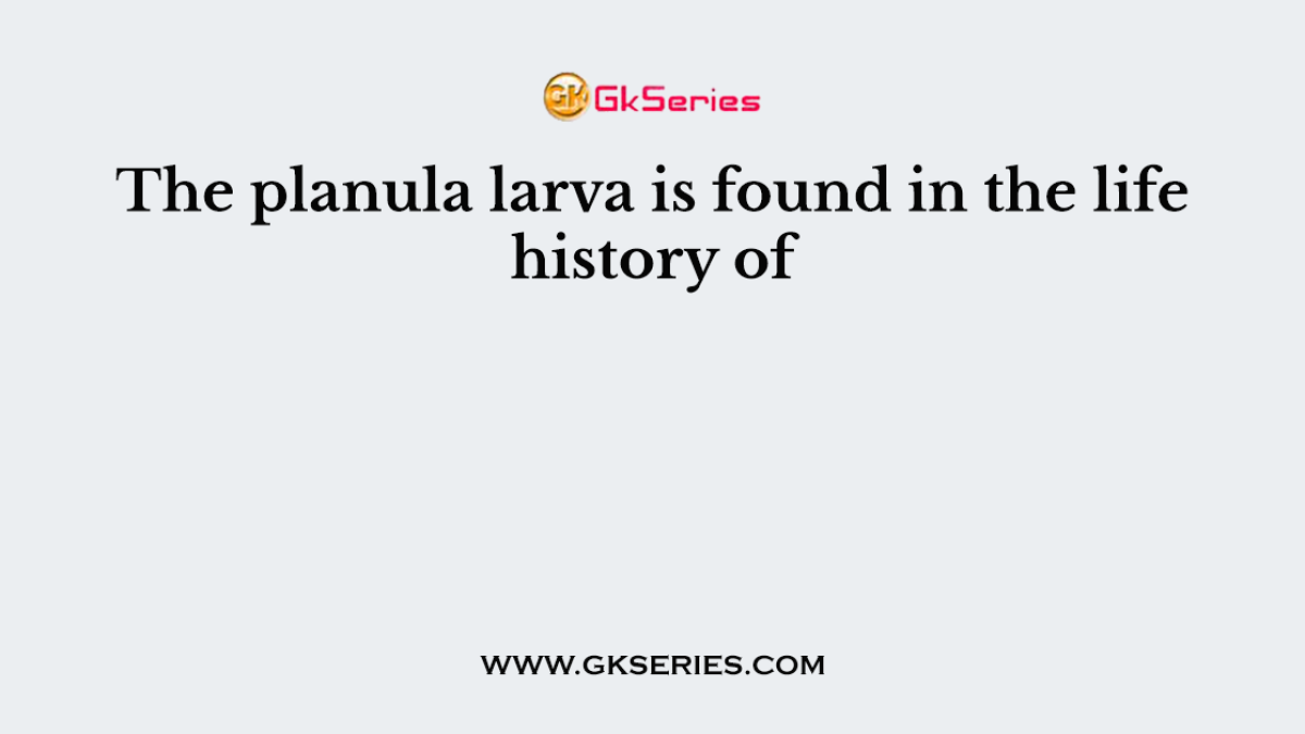 The planula larva is found in the life history of