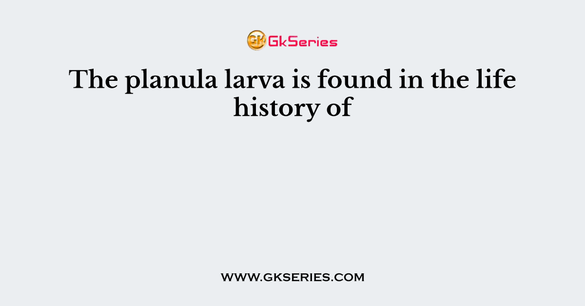 The planula larva is found in the life history of