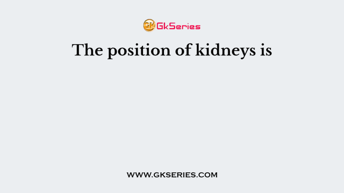 The position of kidneys is