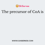 The precursor of CoA is