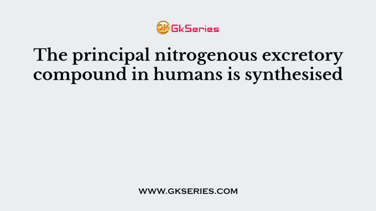 The principal nitrogenous excretory compound in humans is synthesised