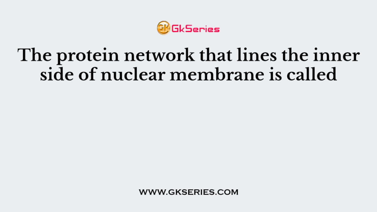 The protein network that lines the inner side of nuclear membrane is called