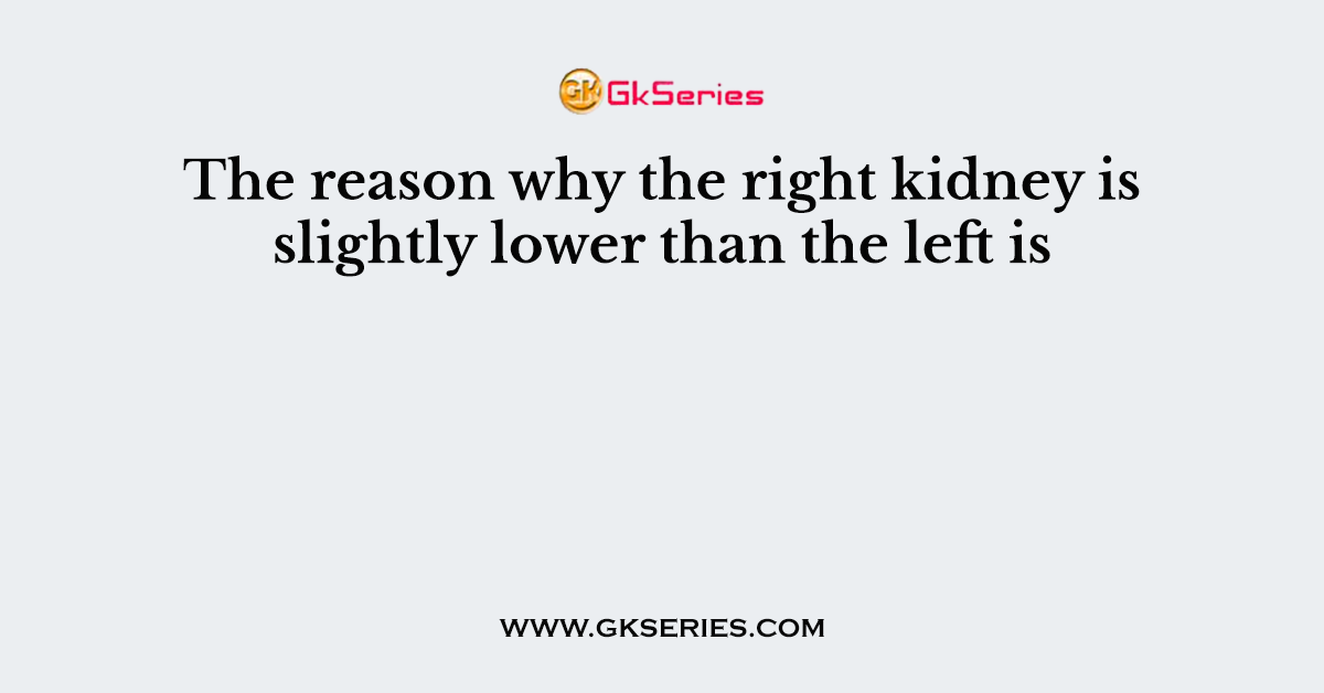 The reason why the right kidney is slightly lower than the left is