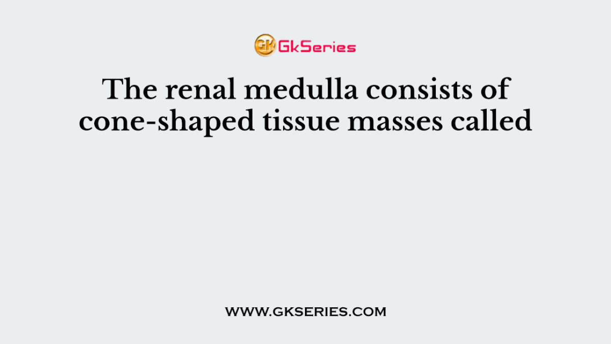 The renal medulla consists of cone-shaped tissue masses called