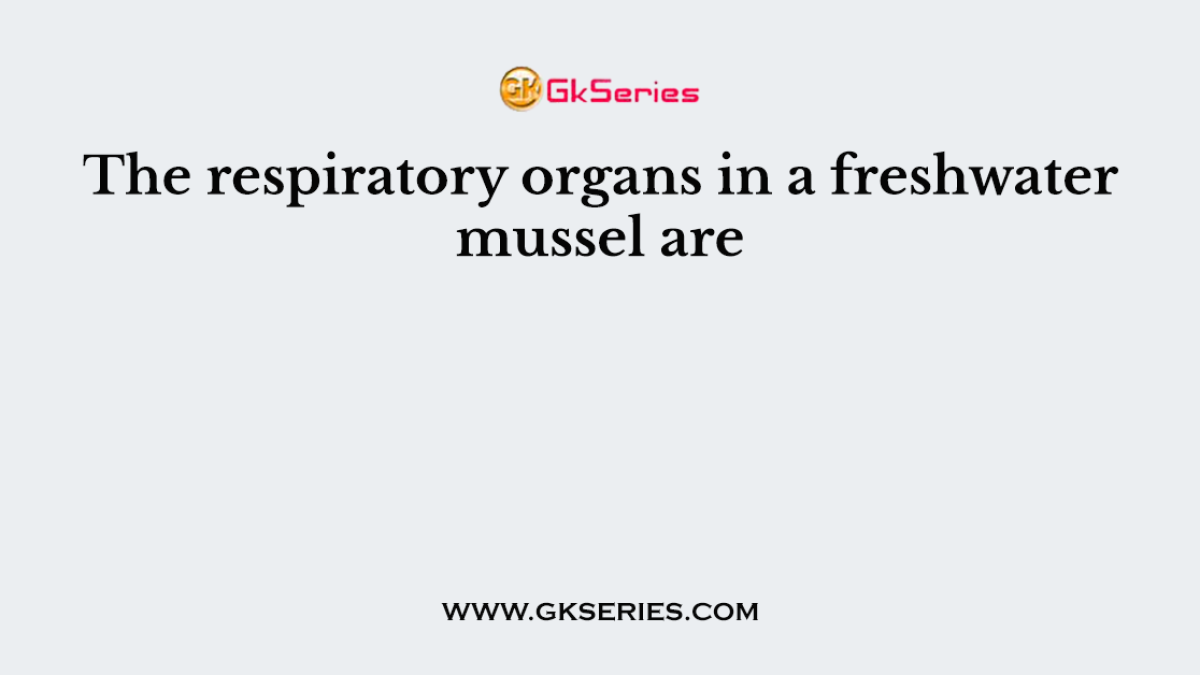The respiratory organs in a freshwater mussel are