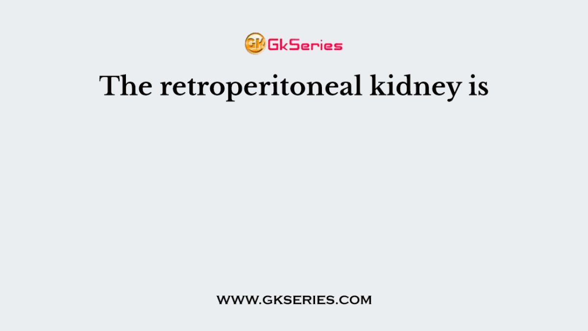 The retroperitoneal kidney is