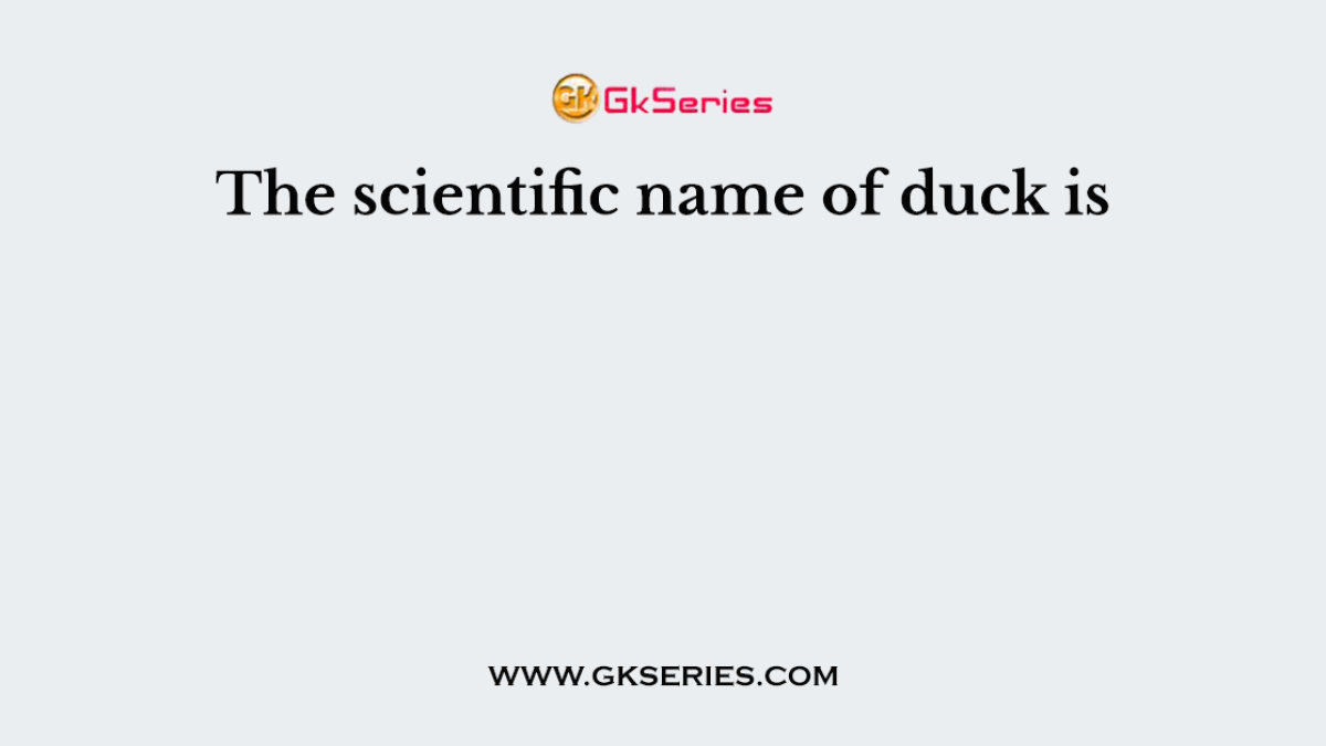 The scientific name of duck is