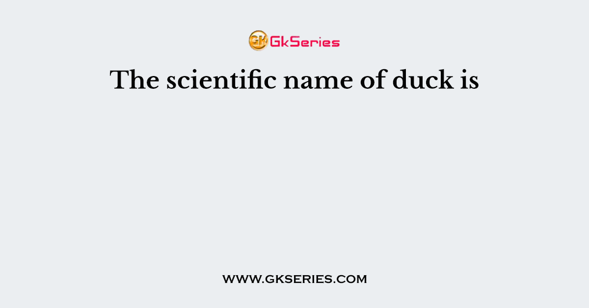 The scientific name of duck is