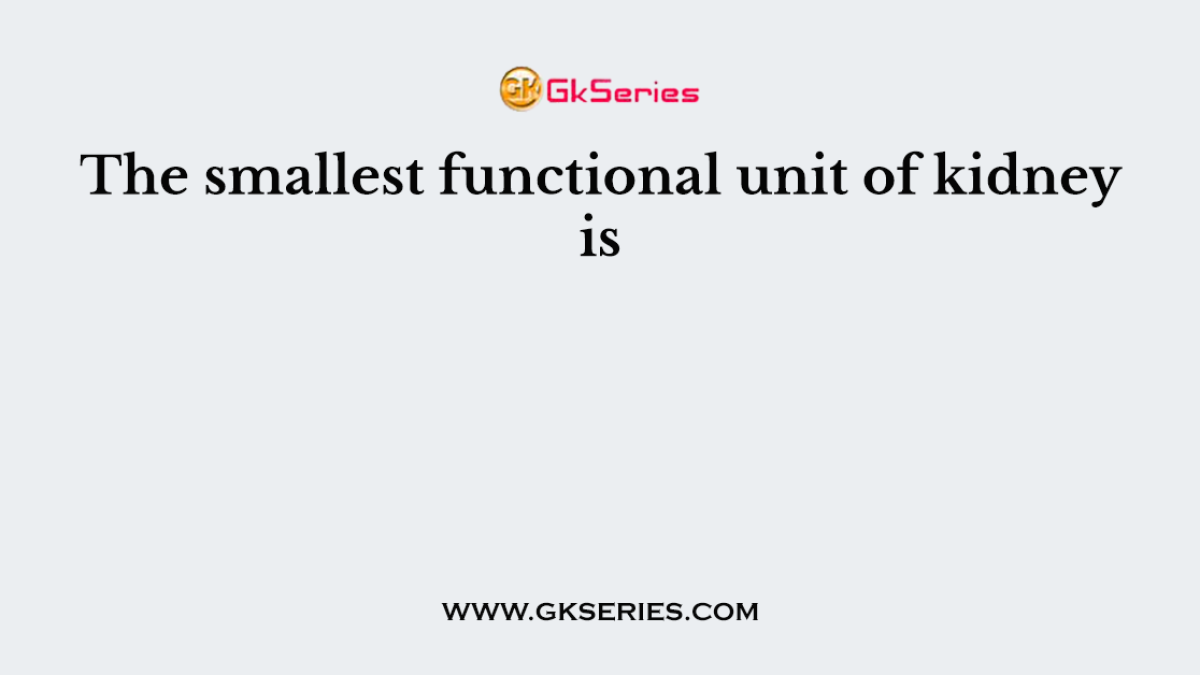 The smallest functional unit of kidney is