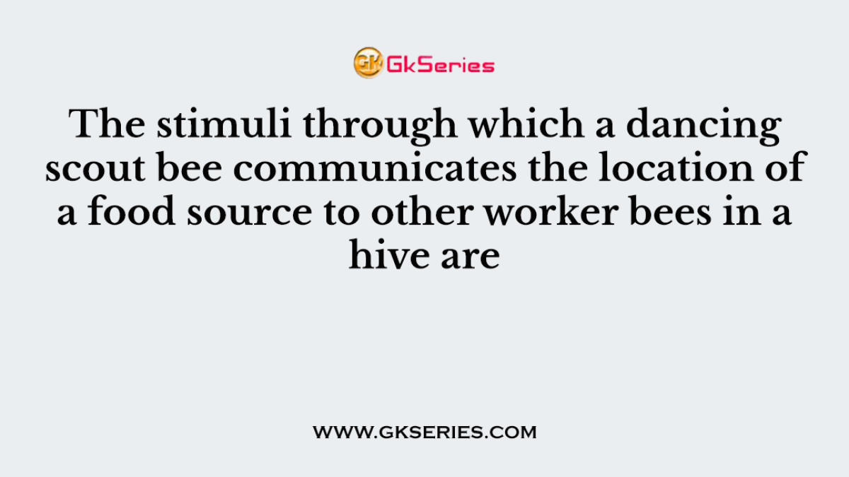 The stimuli through which a dancing scout bee communicates the location of a food source to other worker bees in a hive are
