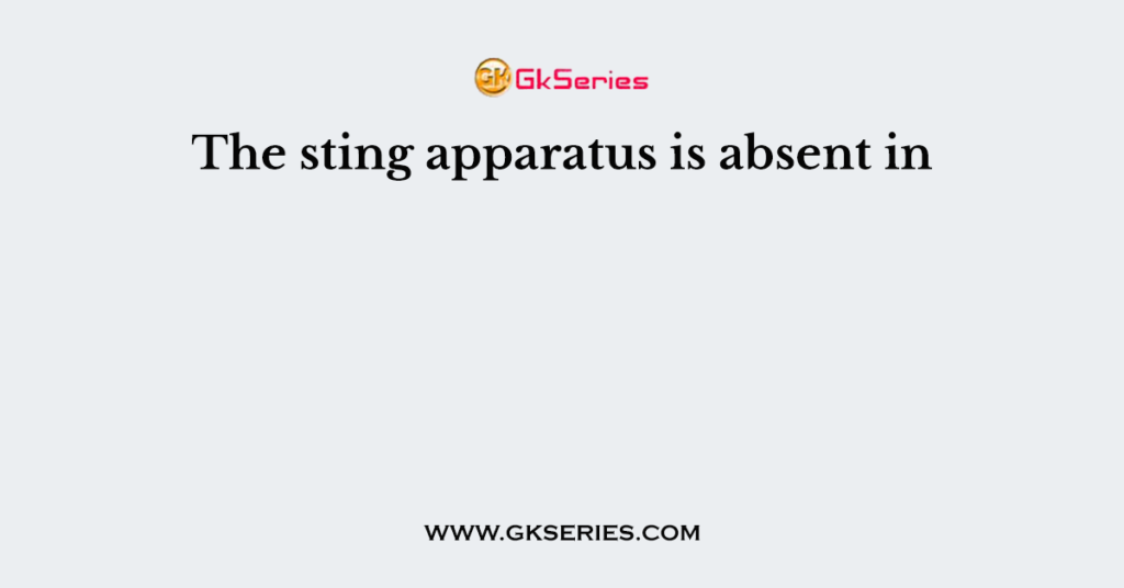 The sting apparatus is absent in