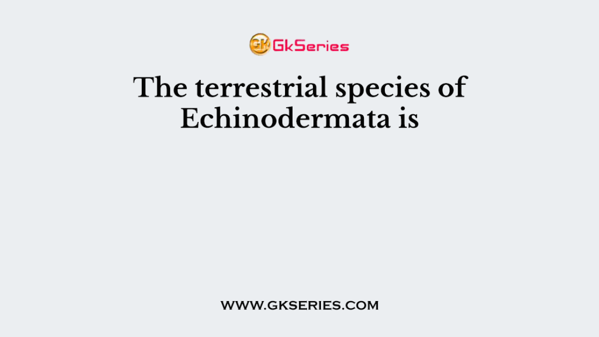 The terrestrial species of Echinodermata is