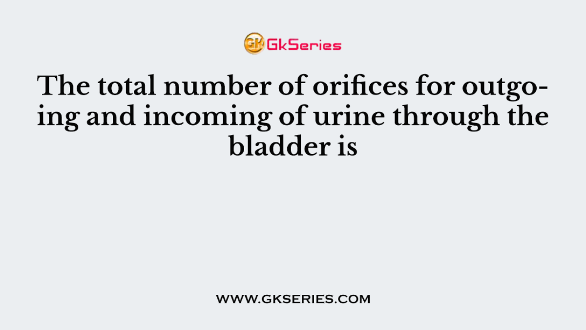 The total number of orifices for outgoing and incoming of urine through the bladder is