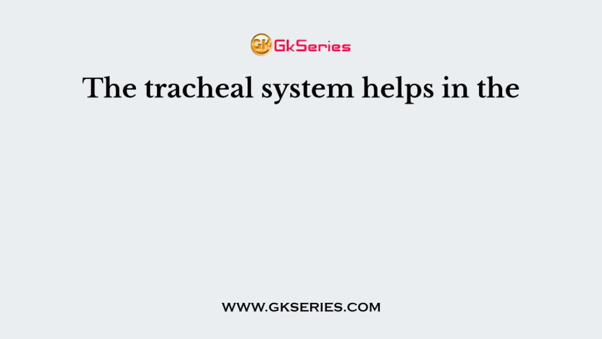 The tracheal system helps in the