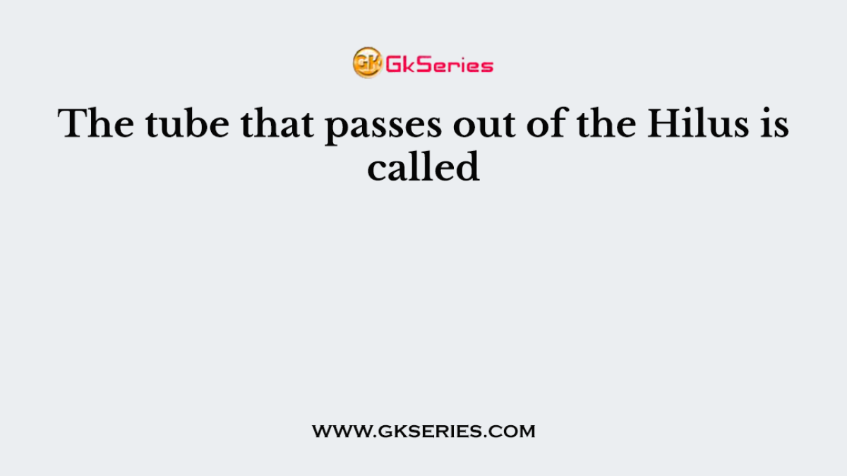 The tube that passes out of the Hilus is called