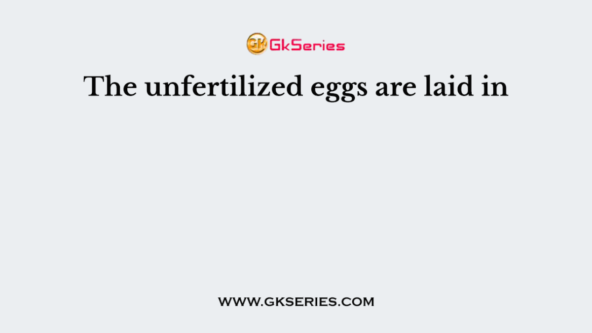 The unfertilized eggs are laid in