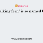 The “walking fern” is so named because