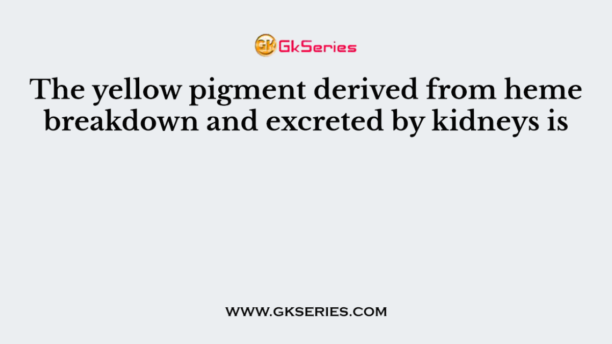 The yellow pigment derived from heme breakdown and excreted by kidneys is