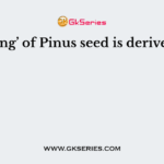 The ‘wing’ of Pinus seed is derived from