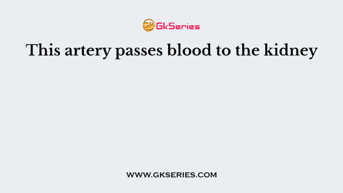 This artery passes blood to the kidney