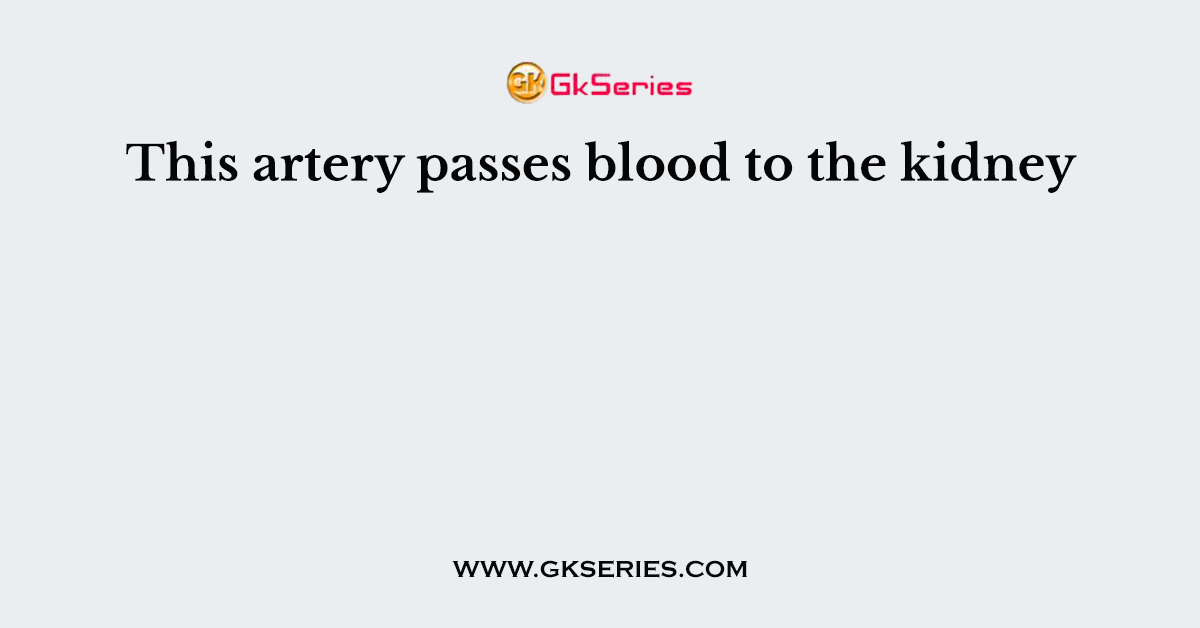 This artery passes blood to the kidney