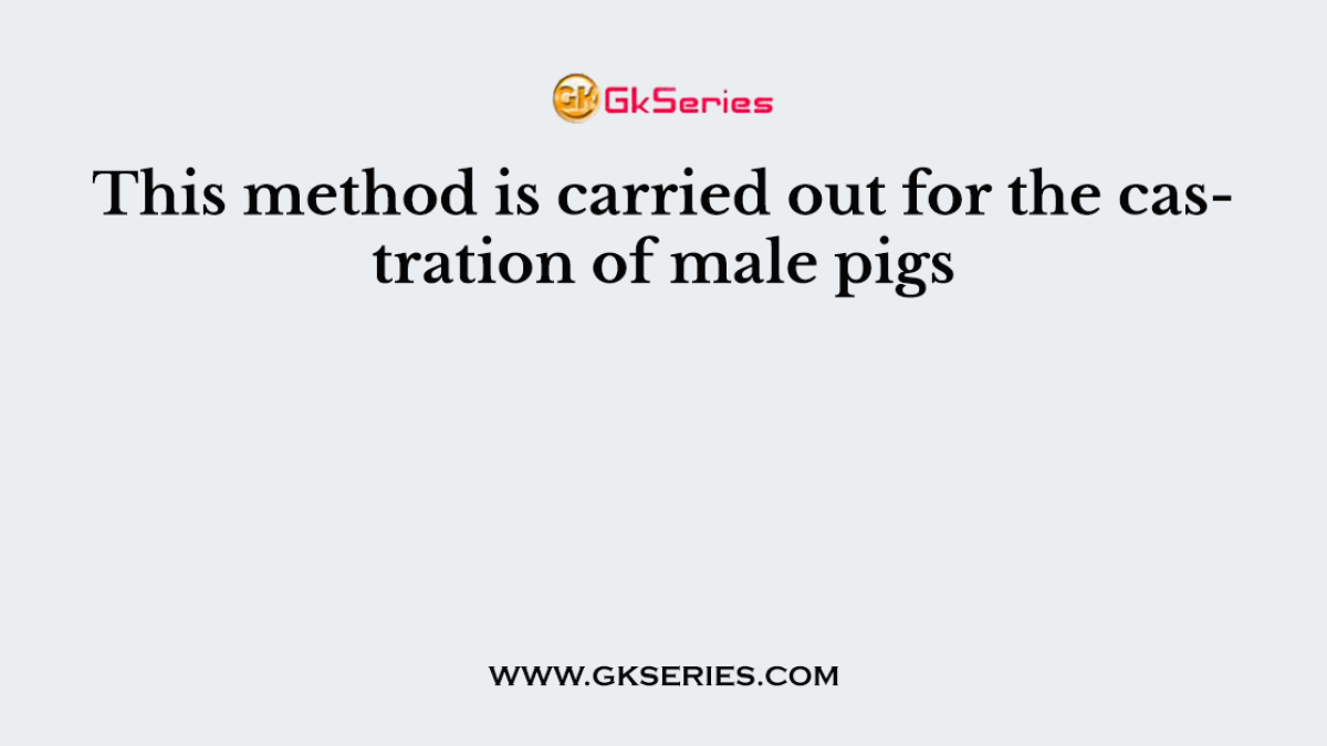 This method is carried out for the castration of male pigs